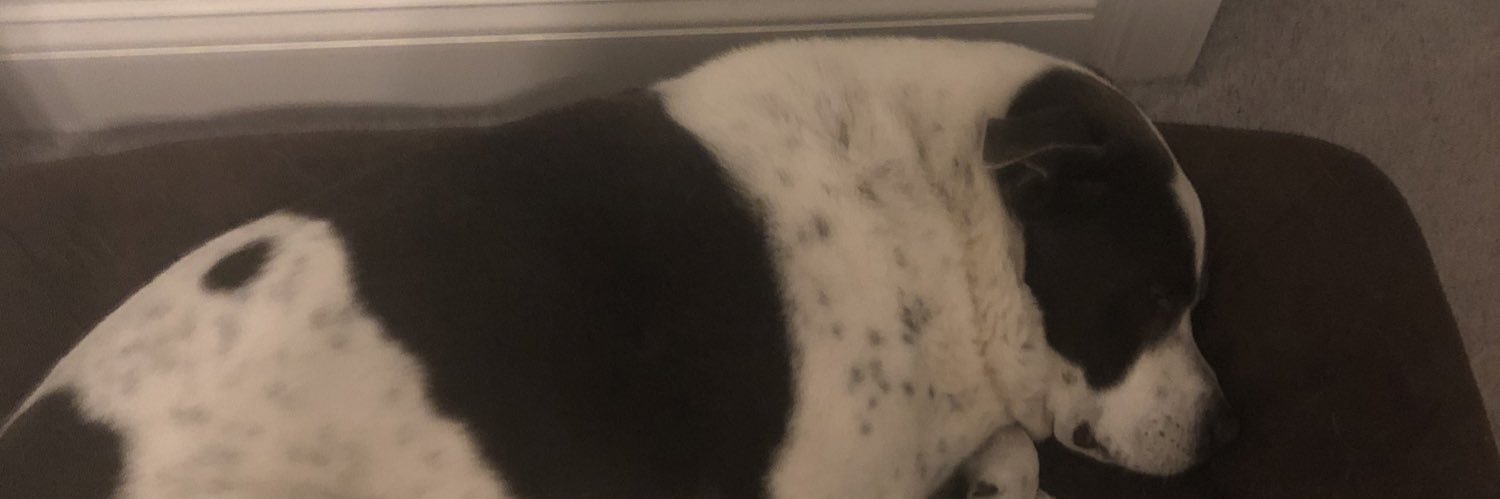 SPanz4's profile banner image
