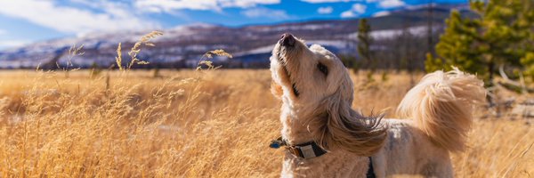 adamjacobgraham Profile Banner