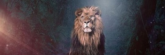 tshepottm's profile banner image