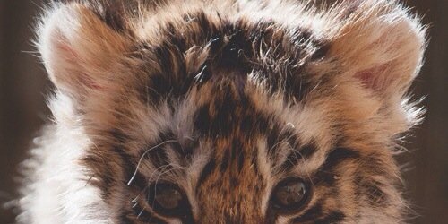 ernijhn's profile banner image