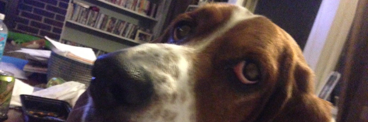 DannyboyUpstate's profile banner image
