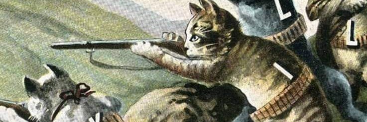 Raised By Feral Cats 🏴‍☠️ 🏁 #SuperBi banner