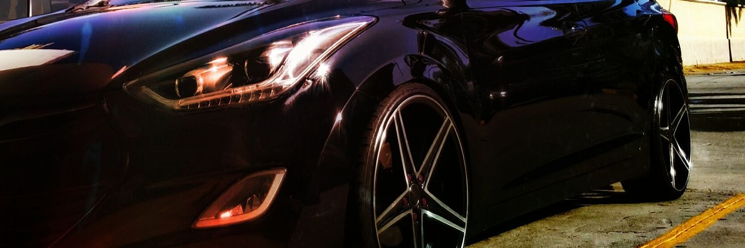 NoeAlexandra8's profile banner image
