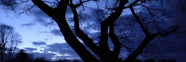 larskiesow Profile Banner