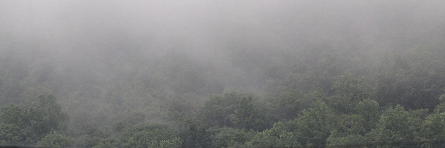 thatgreenbean's profile banner image