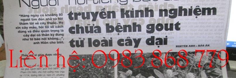 caynongaydat's profile banner image