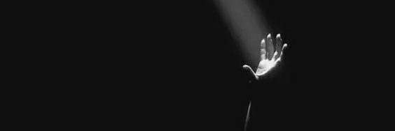 Corvo_crypt's profile banner image