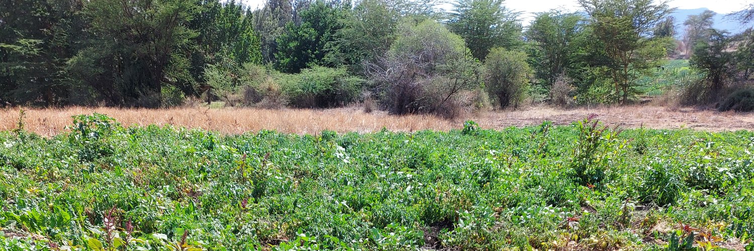 good_question banner