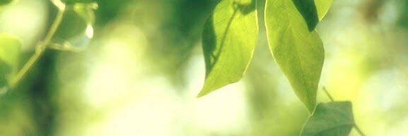 YeoMalcom's profile banner image