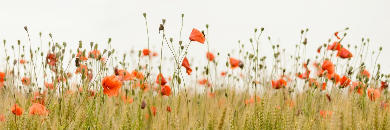 R_april5's profile banner image