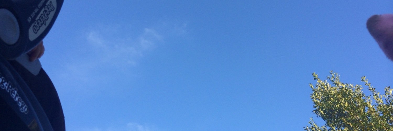 flamingo3DM's profile banner image