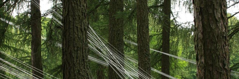 zagarefringe's profile banner image