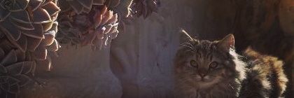RienQs's profile banner image