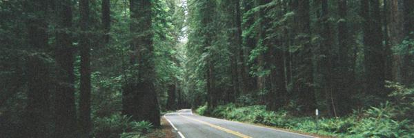 AlwaysGordaFan Profile Banner