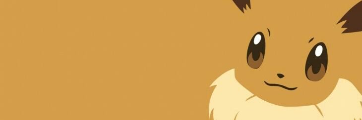 eeveecito's profile banner image