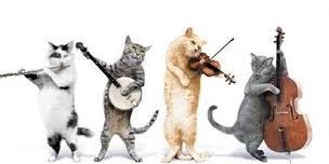 tradstcats's profile banner image