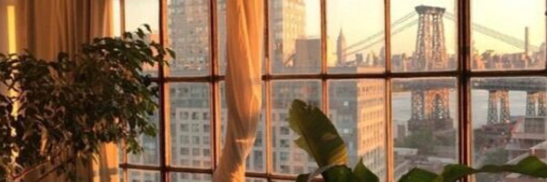 Haylee__Brown's profile banner image