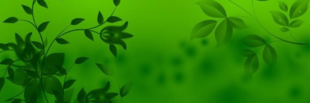 GreenVillageZ's profile banner image