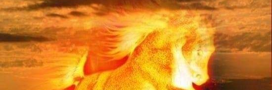 ACAP1971's profile banner image