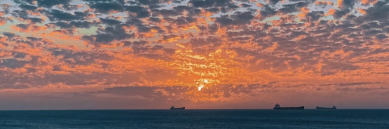 NinaMeza1's profile banner image