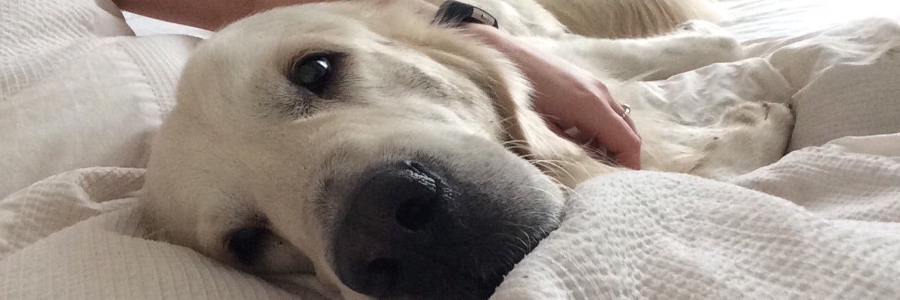lizzywebb7's profile banner image