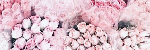 lyanawanis28's profile banner image