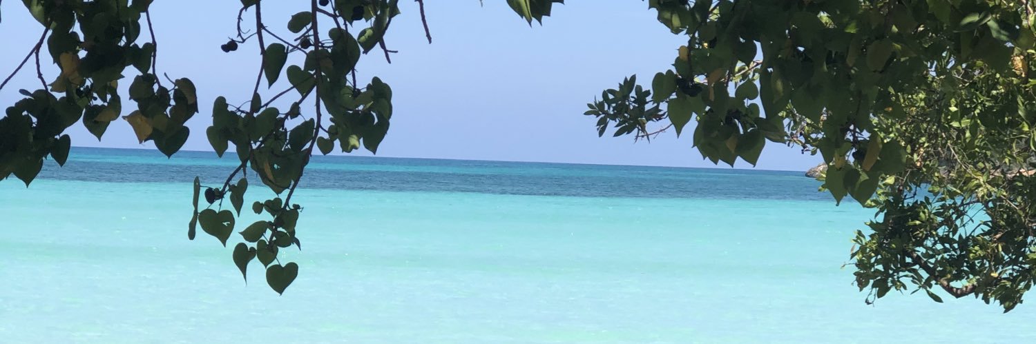 Lauri__Bee's profile banner image