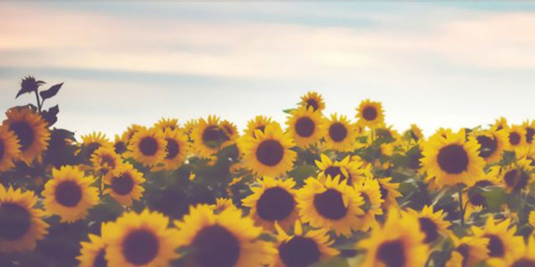 kasaayy's profile banner image