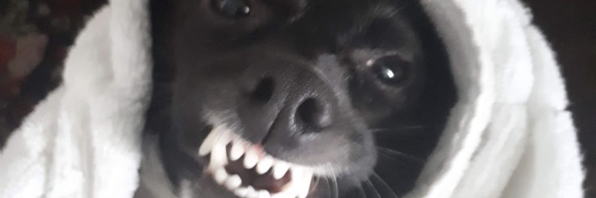eulare_'s profile banner image