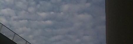 Manfredipuobastare banner