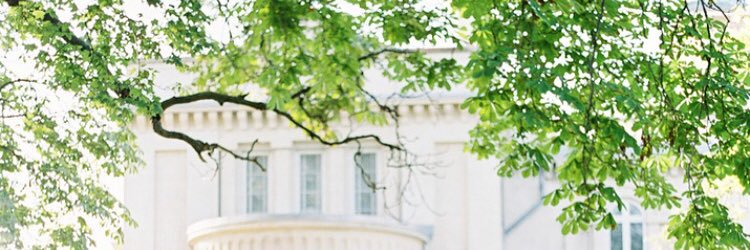 DesignedDream's profile banner image