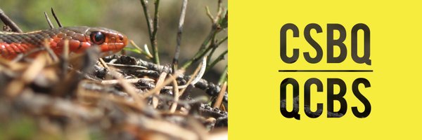 Csbq_qcbs_stu Profile Banner