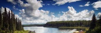 movingyouahead's profile banner image