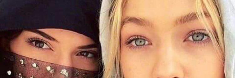 LolaMousse's profile banner image