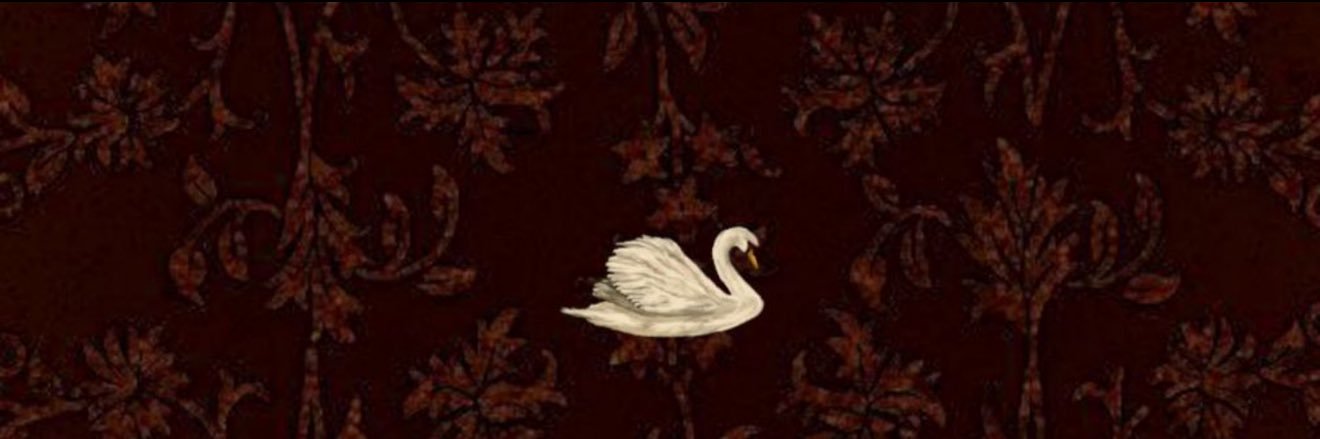 angelinalucii's profile banner image
