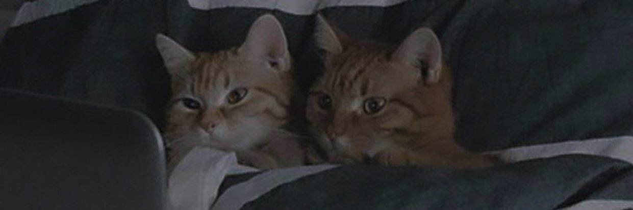 daanielaescoto's profile banner image