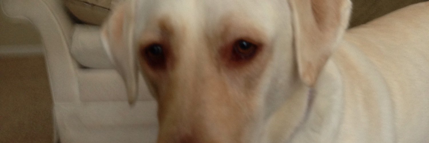 Cheez-Its Ferguson banner