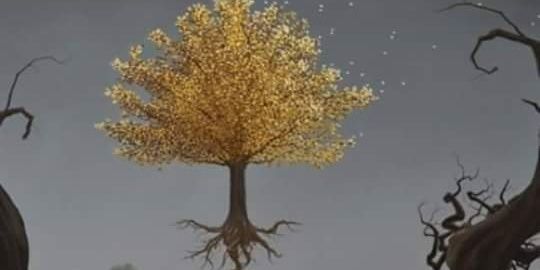 Amanda64j's profile banner image