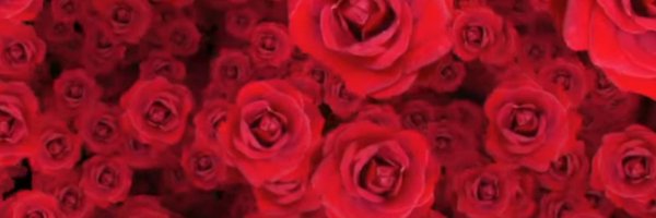 b_ertug1 Profile Banner