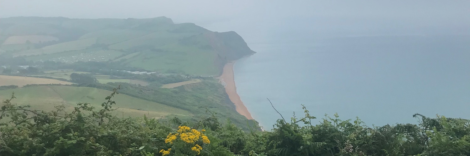 Rebecca greenhalgh banner