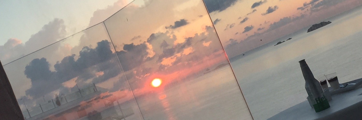 LisaRVZ's profile banner image