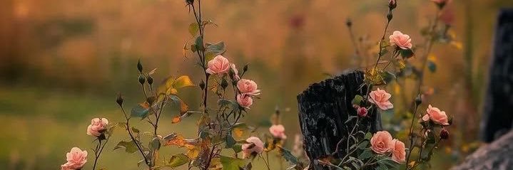 DHABAi33's profile banner image
