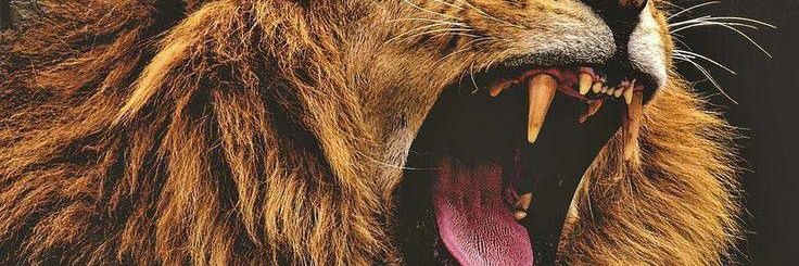 Dan_Aju2's profile banner image