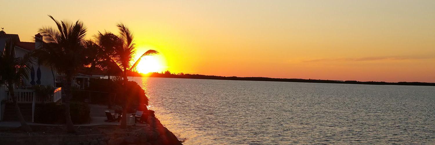 saby123's profile banner image