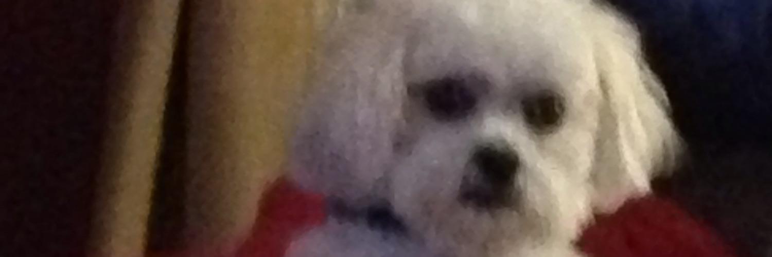 Glackatron's profile banner image
