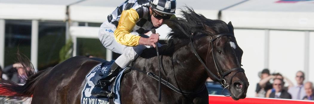 Think Big Stud banner