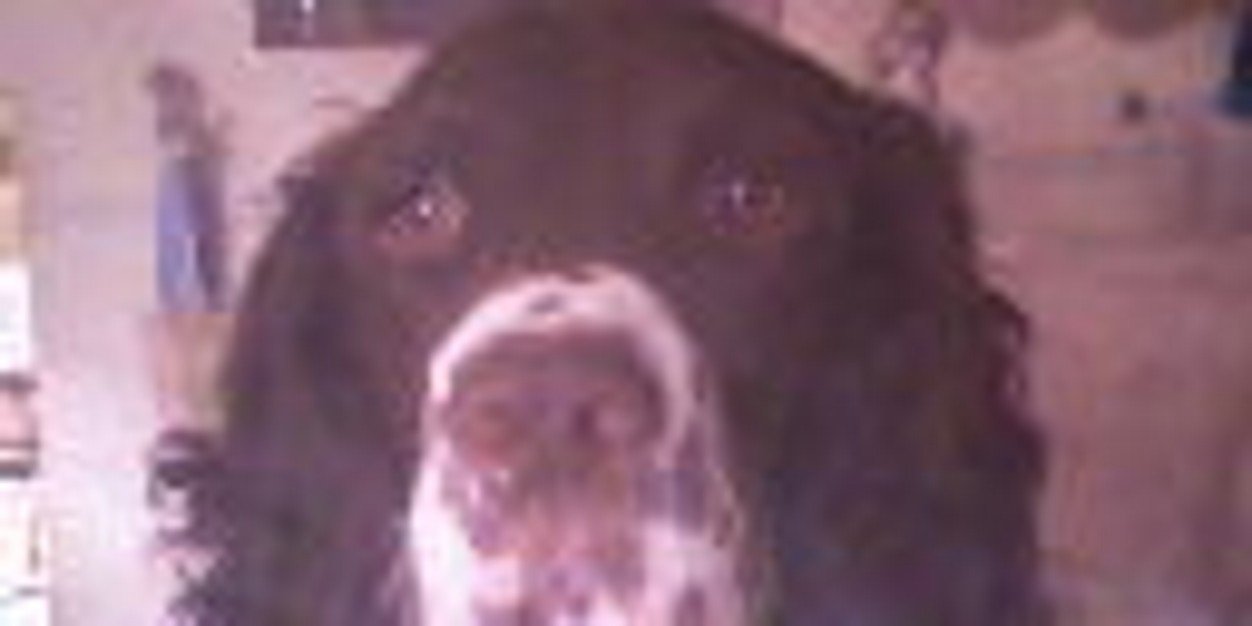 robbo1953_chris's profile banner image