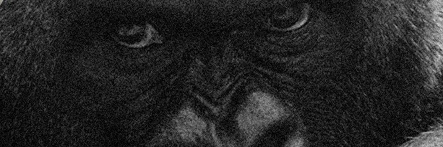 emerqr's profile banner image