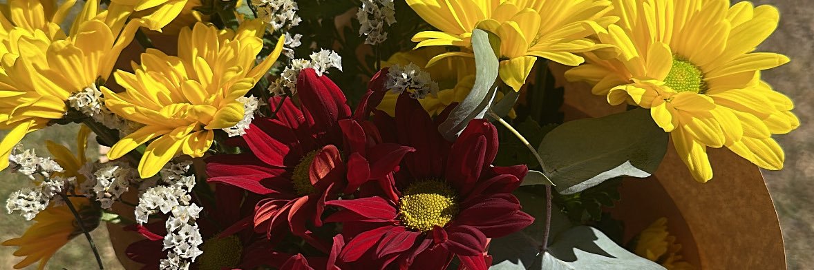 TatuSpila's profile banner image