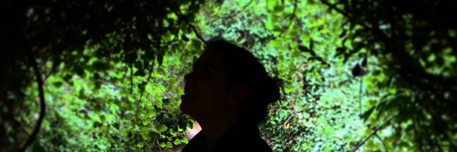 Jude Holmes banner